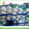 Wholesale Top Quality Jinxiang China Fresh White Garlic 4.5CM Mesh Bag In Carton